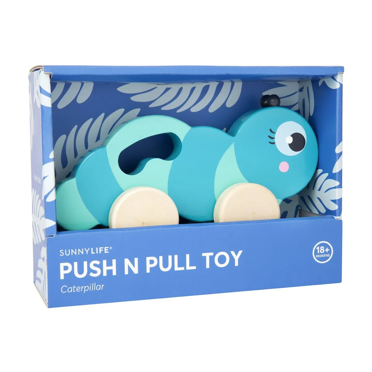 Caterpillar Push N' Pull Toy